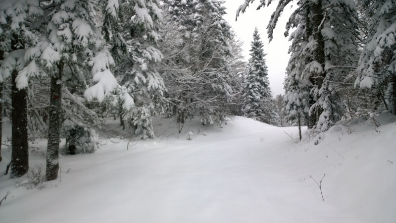 wp_20131120_11_48_56_pro.jpg wp_20131120_11_48_56_pro.jpg