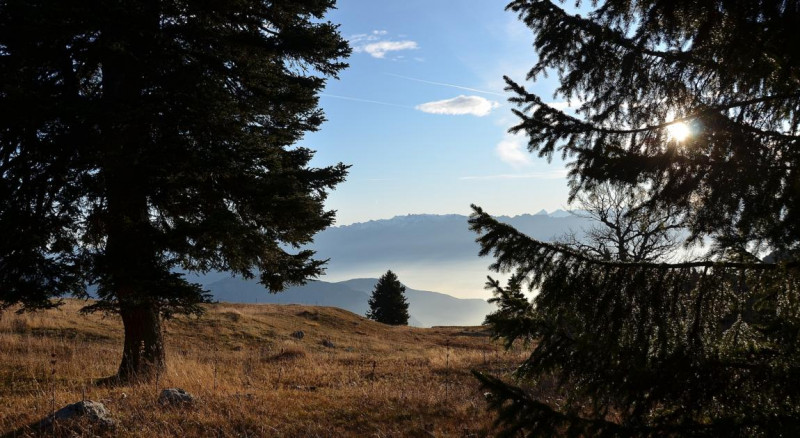 Les crêtes et le plateau de la Molière