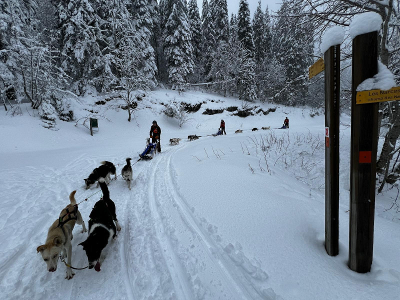 WhatsApp Image 2024-03-16 à 16.06.24_90de9051.jpg