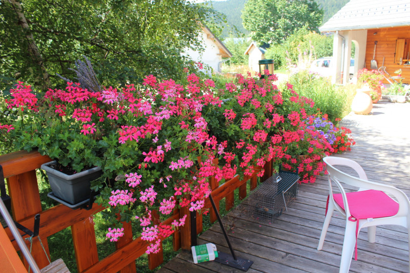 img_1436.jpg img_1436.jpg