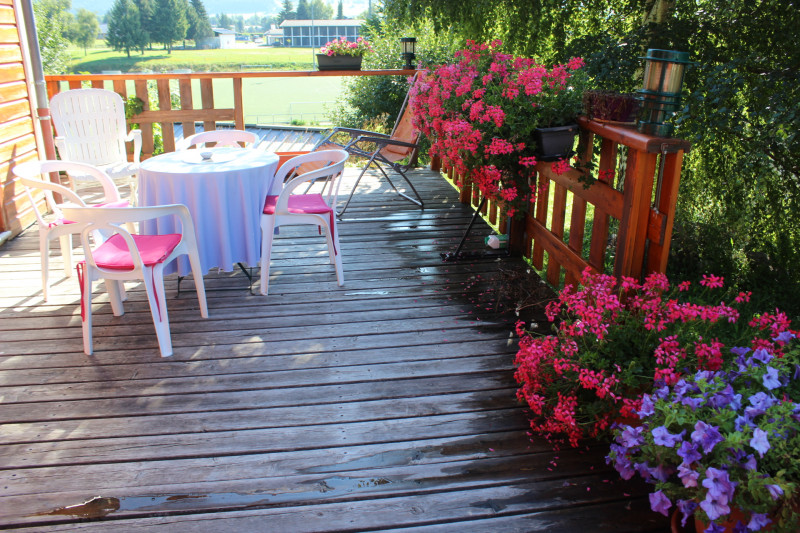 img_1446.jpg img_1446.jpg