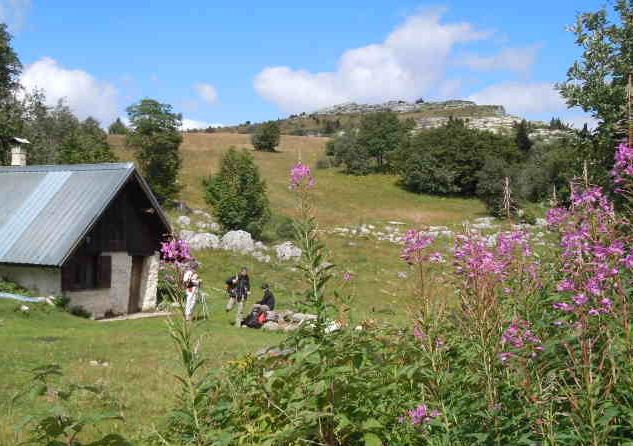 capture.jpg capture.jpg