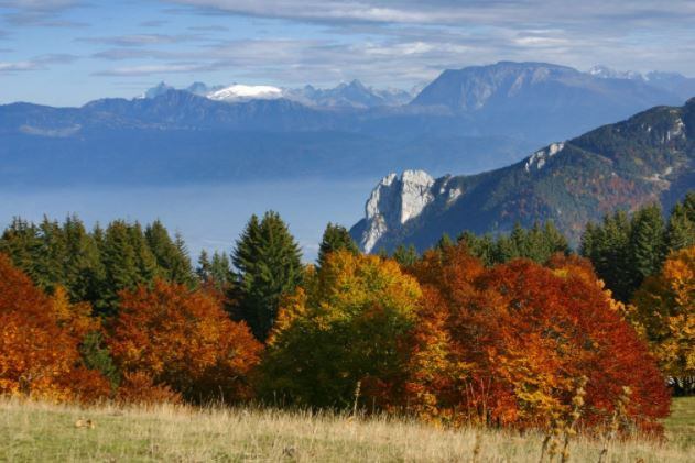 capture.jpg capture.jpg