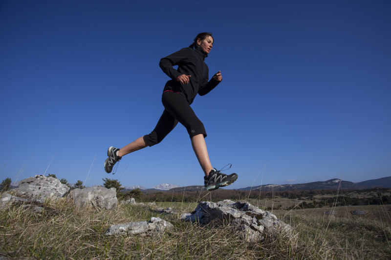 inspiration_vercors.jpg inspiration_vercors.jpg