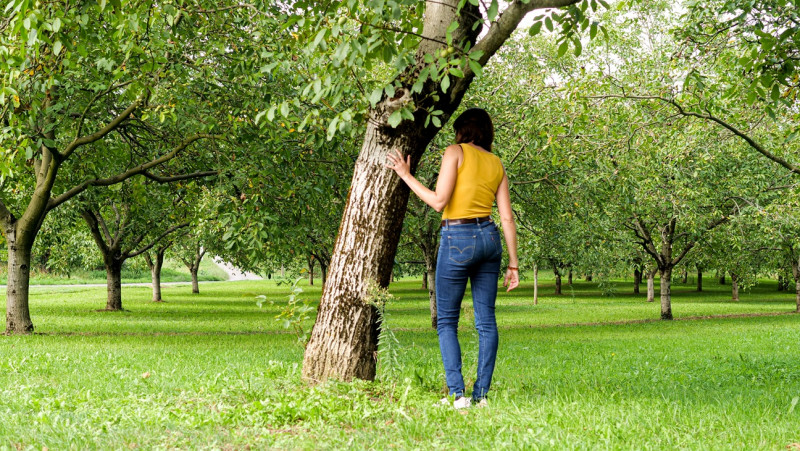 retour_a_gaia2ok.jpg retour_a_gaia2ok.jpg