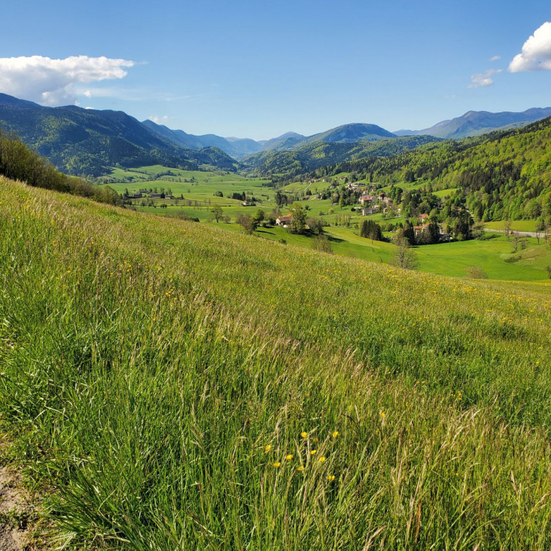 Début de la montée d'Herbouilly