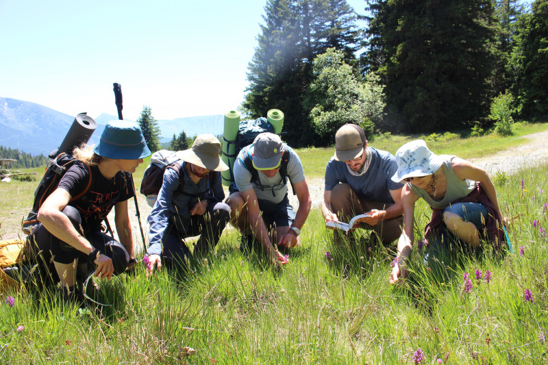 Photo des plusieur personnes en montagne avec randonner en conscience - Au rythme de la montagne_Lans-en-Vercors Photo des plusieur personnes en montagne avec randonner en conscience - Au rythme de la montagne_Lans-en-Vercors