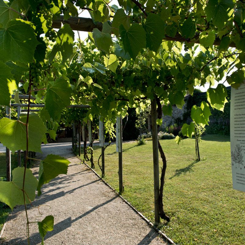 le_verger_conservatoire_du_couvent_des_carmes.jpg le_verger_conservatoire_du_couvent_des_carmes.jpg