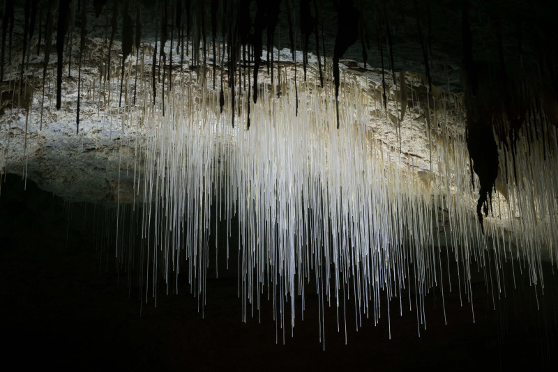 001_grotte_de_choranche_fistuleuses_1.jpg