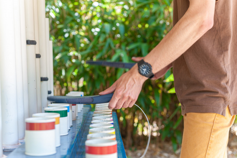 Le Jardin Ferroviaire & Musical_Chatte