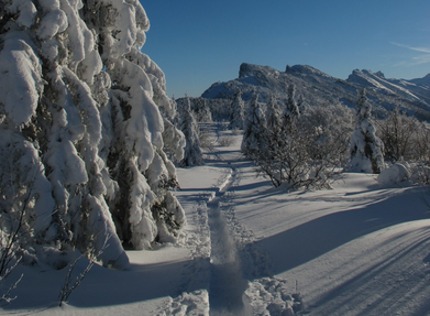 Terre de paysages - Florent Debicki_Lans-en-Vercors