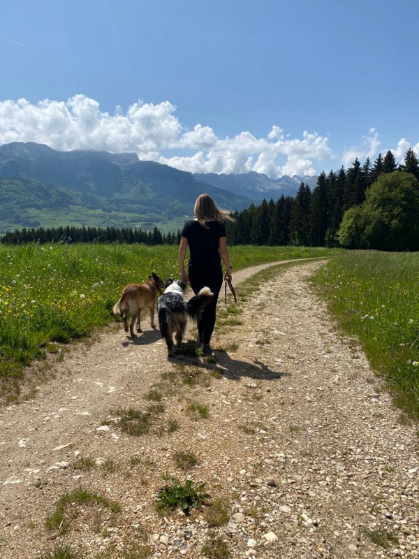 Photo balade avec des chiens et entre maîtres et chiens_Lans-en-Vercors