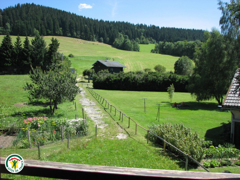Vue sur la forât de la terrasse