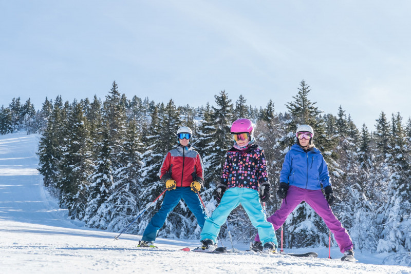 Domaine alpin des Montagnes de Lans