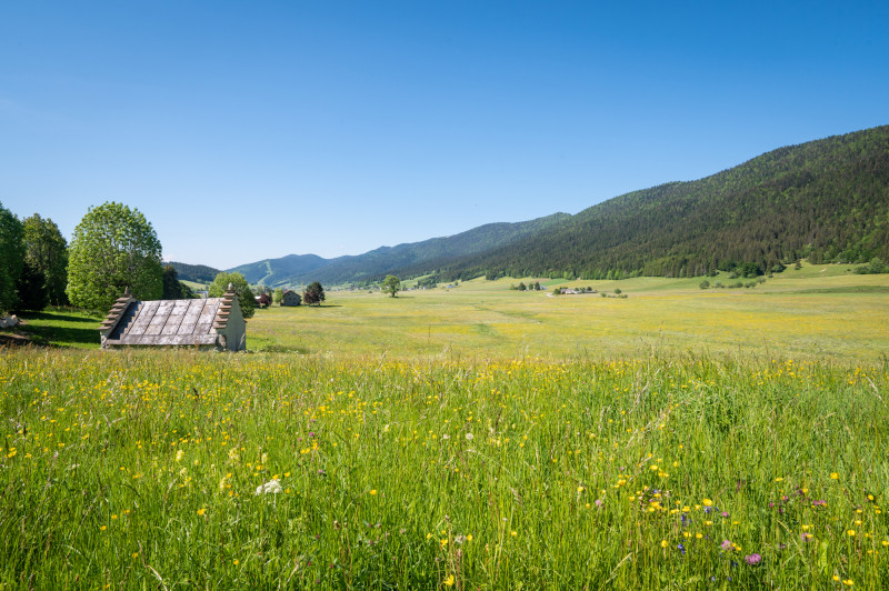 Autour du bourg Autour du bourg