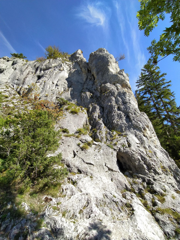 site_d_escalade_du_furon_3.jpg site_d_escalade_du_furon_3.jpg