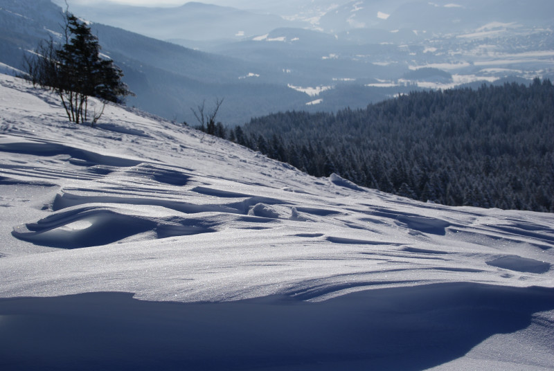 Plateau des Allières - © Mairie de Lans-en-Vercors Plateau des Allières