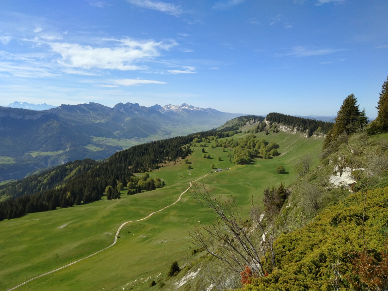 p_20200508_101859.jpg - © Gît d'alpage la Molière p_20200508_101859.jpg