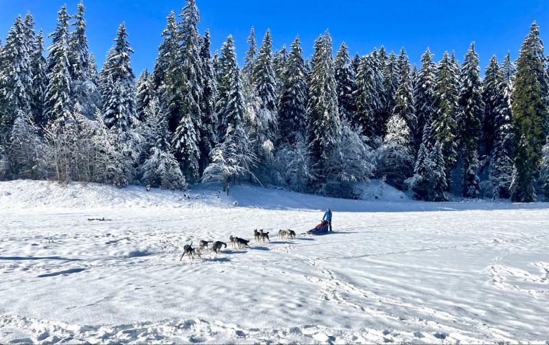 7d43ca2c-0798-4e73-beae-cf282ca16902.jpeg - © Rêve Arctic 7d43ca2c-0798-4e73-beae-cf282ca16902.jpeg