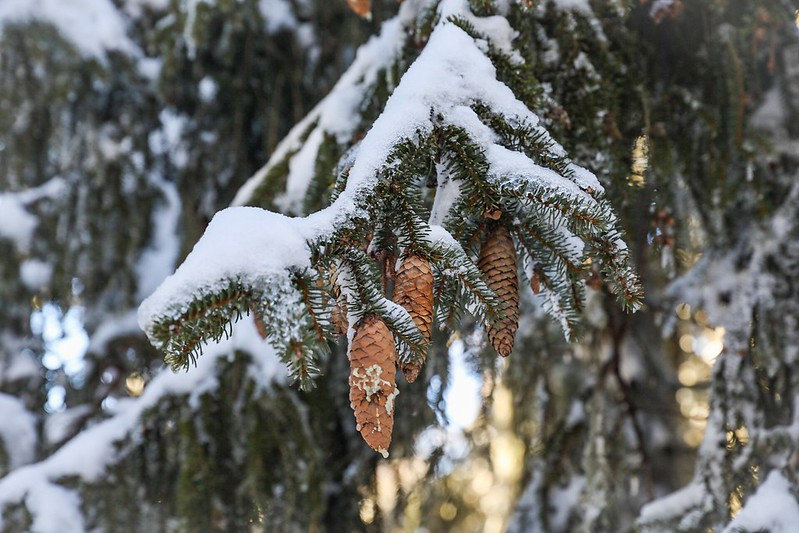 paysage - © Itinera Magica paysage