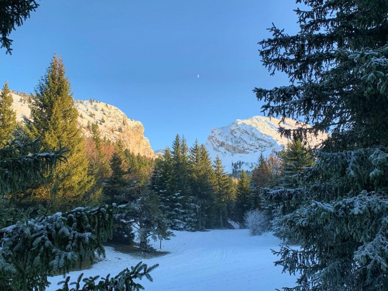 paysage - © Mairie de Lans-en-Vercors paysage