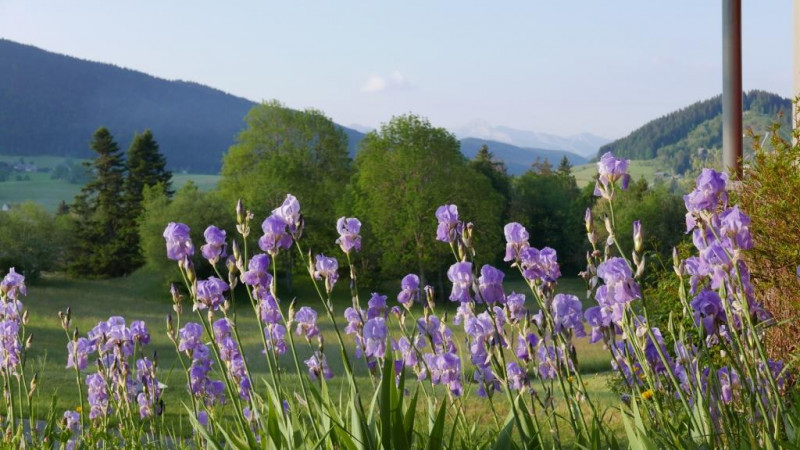 paysage