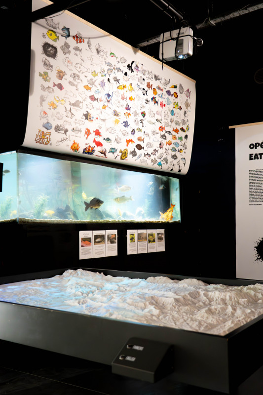 musee - © musee de l'eau musee