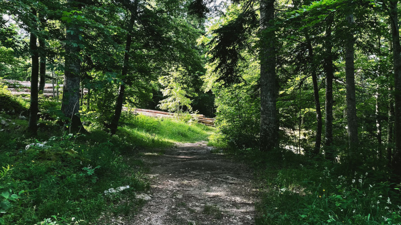 240618-46LaLoubièreexpress-bleu-6