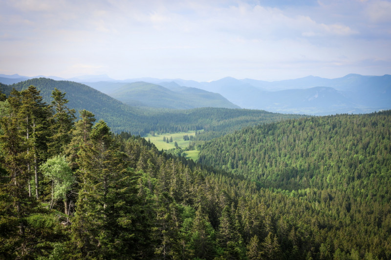 Par Herbouilly et les gorges du Méaudret - Circuit Gravel & VTTAE n°89 - Rouge_Villard-de-Lans - © Judicaël Rey Par Herbouilly et les gorges du Méaudret - Circuit Gravel & VTTAE n°89 - Rouge_Villard-de-Lans