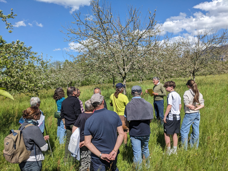 Visite du verger conservatoire - © R.Izquierdo Visite du verger conservatoire
