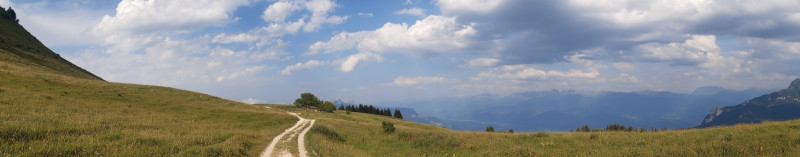 Cours de yoga dans la nature Cours de yoga dans la nature