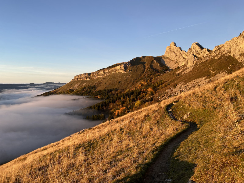 img_8197.jpeg img_8197.jpeg