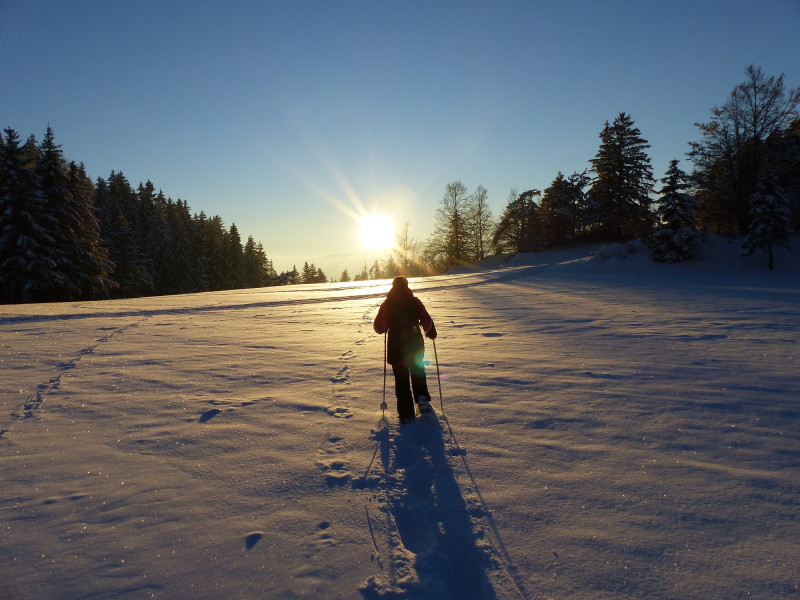 Paysage enneigé Paysage enneigé