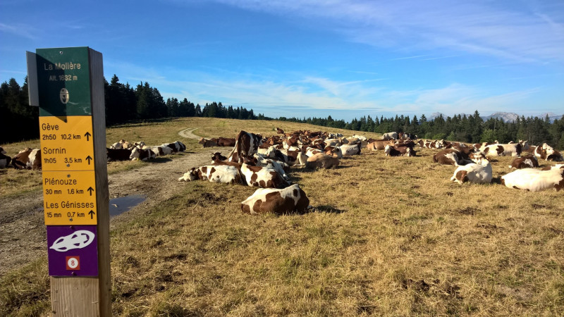 wp_20150728_18_18_14_pro.jpg wp_20150728_18_18_14_pro.jpg