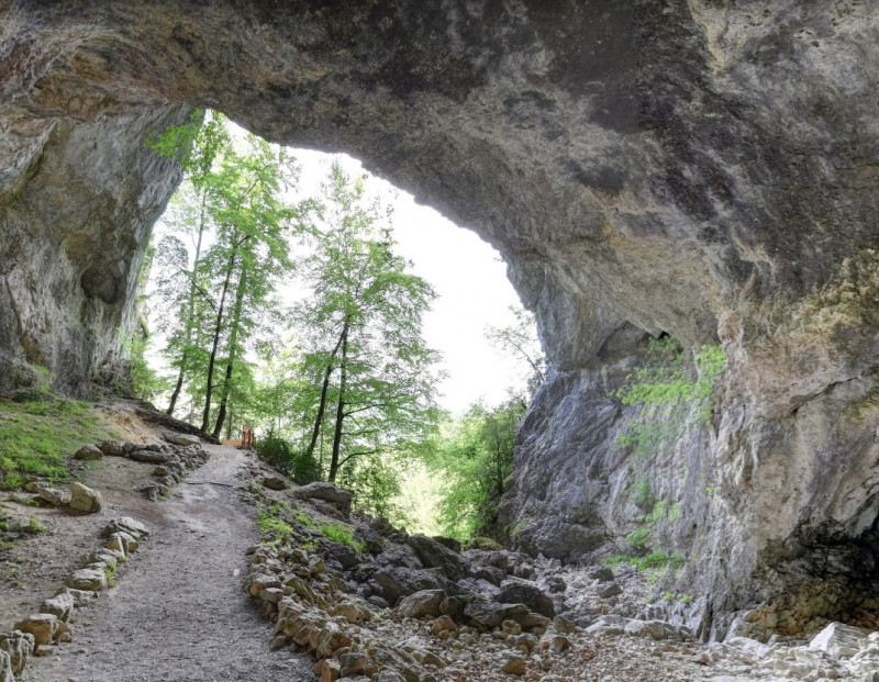 photoporche.jpg photoporche.jpg