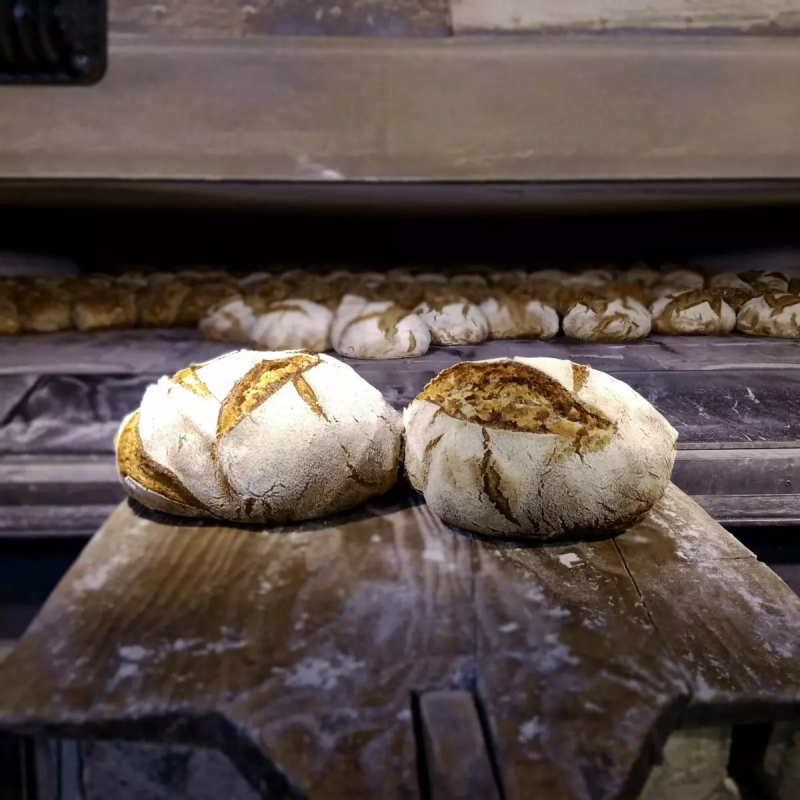 Cuisson au four à bois