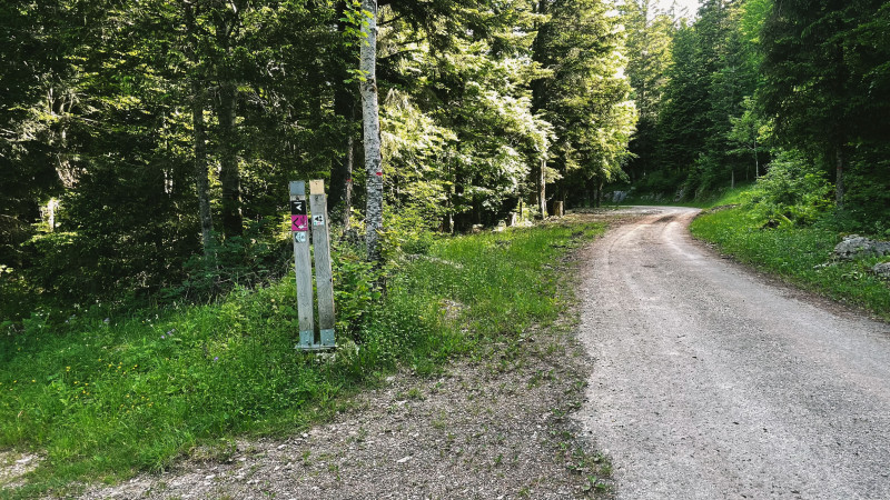 240618-46LaLoubièreexpress-bleu-8