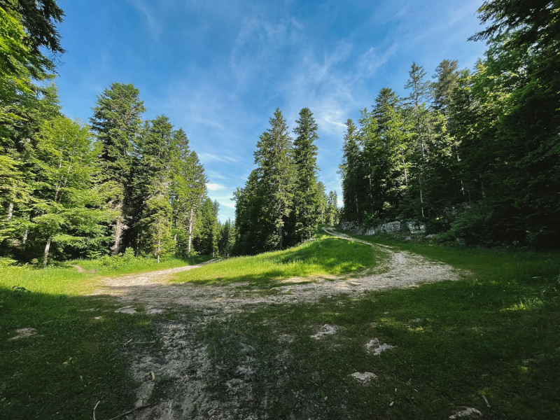 240618-46LaLoubièreexpress-bleu-10