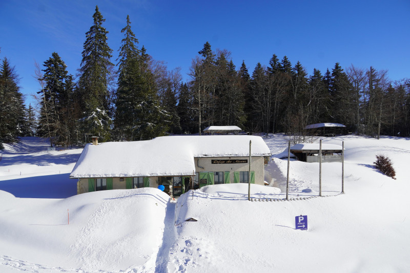 DSC03998.jpeg DSC03998.jpeg