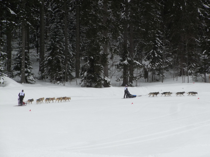 photos_best_18.jpg photos_best_18.jpg