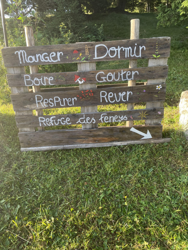 IMG_9504.jpeg IMG_9504.jpeg