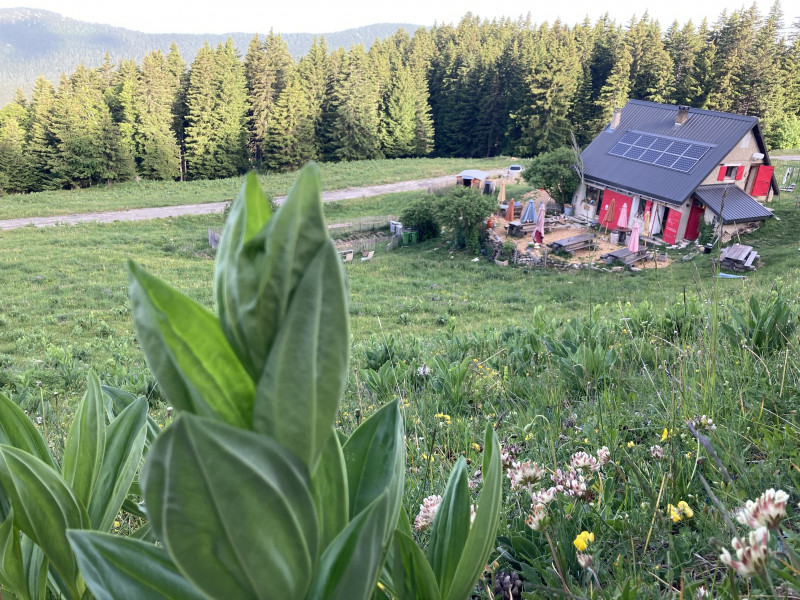 Refuge des Feneys_Autrans-Méaudre en Vercors