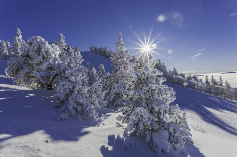 paysage