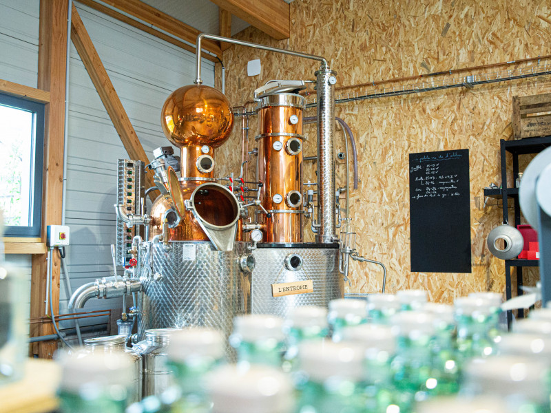 Monique - alambic charentais mixte à colonne