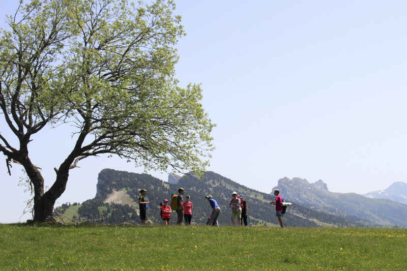 Photo paysage de montagne avec Randonner en conscience - Au rythme de la montagne_Lans-en-Vercors