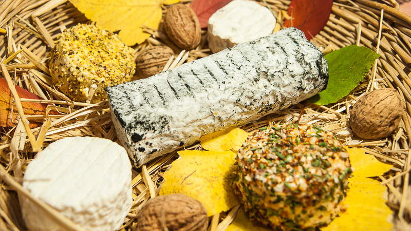 Plateau de différents fromages de chèvres frais, cendré, aux herbes, avec un enrobage