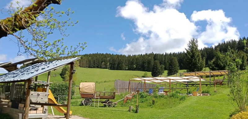 IMG_20240521_130958_957 (Copy).jpg