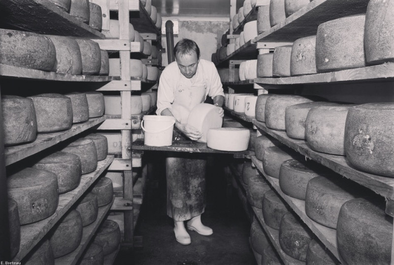 Cave à fromages