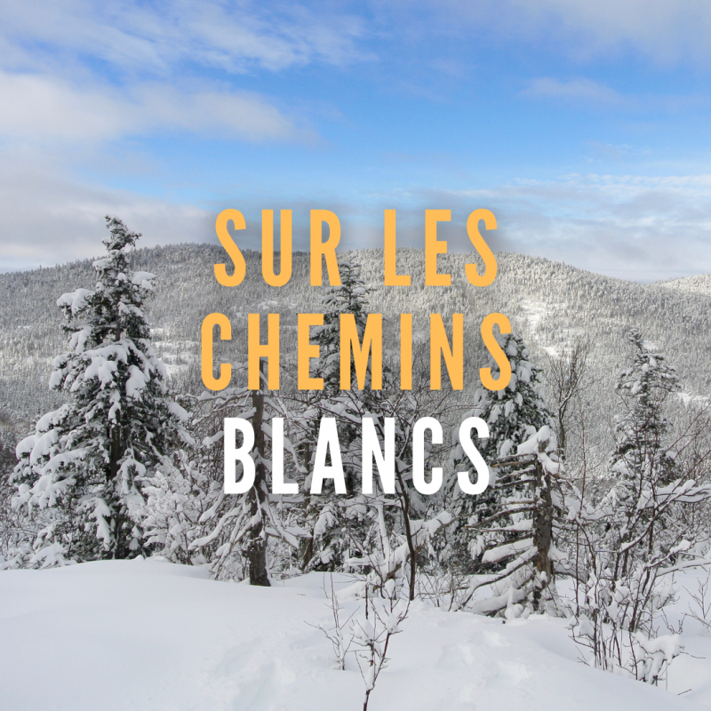 Randonnées raquettes à neige Randonnées raquettes à neige
