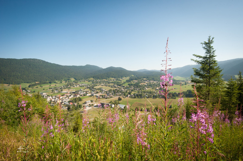 Belvédère des tremplins - © OTI Vercors Belvédère des tremplins
